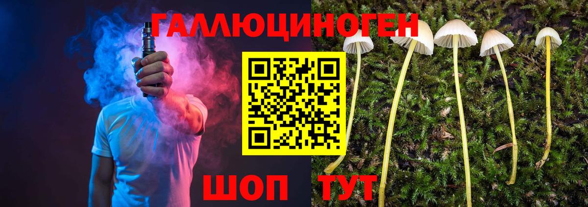 Галлюциногенные грибы Cubensis  Галлюциногенные грибы Psilocybine cubensis  Кирово-Чепецк  Вход с VPN 